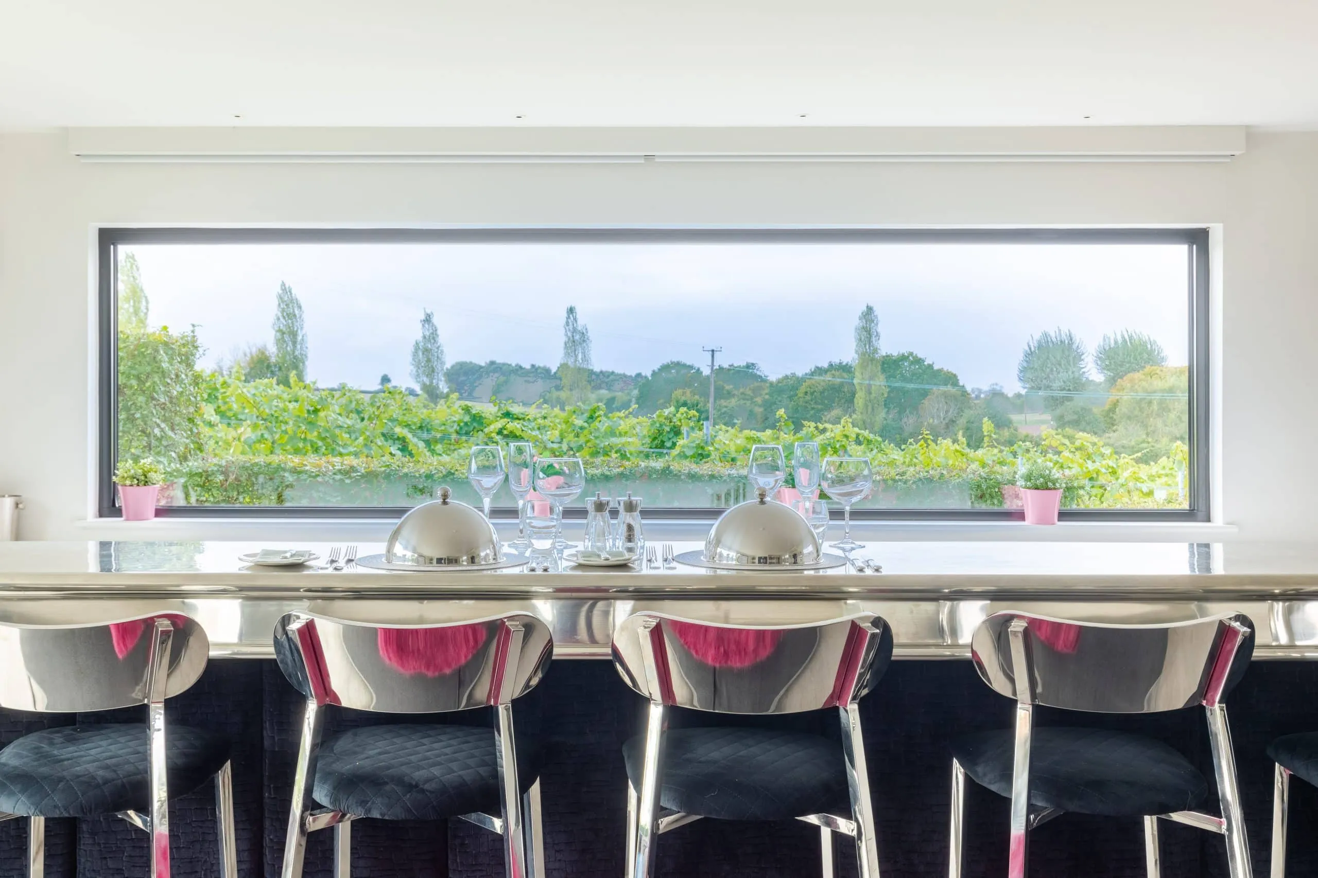 Toppesfield Vineyard photo 4