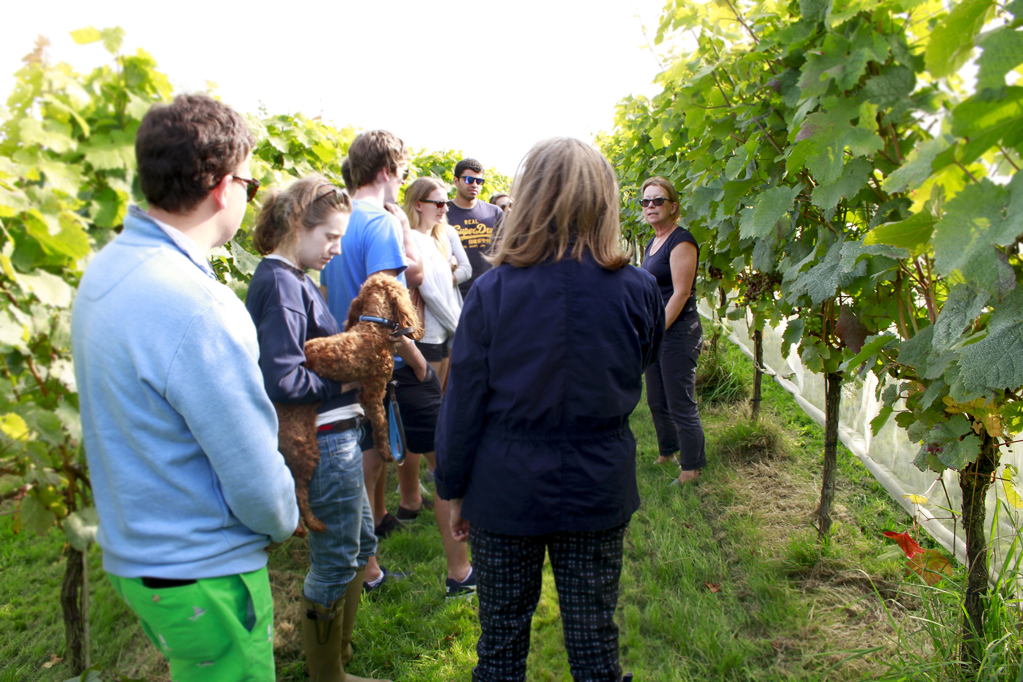 Trevibban Mill photo 3