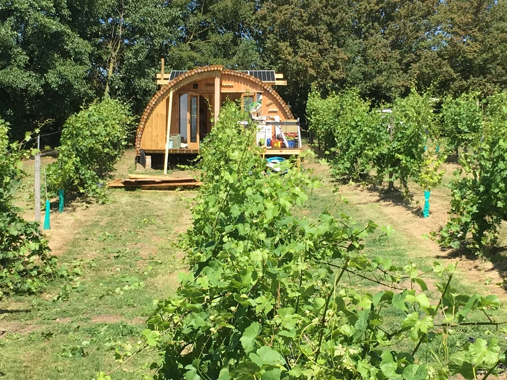 Valley Farm Vineyards main photo