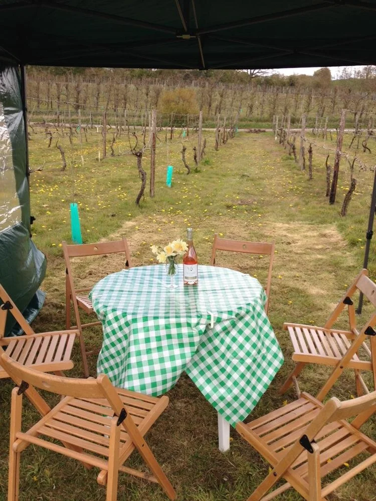 Valley Farm Vineyards photo 4