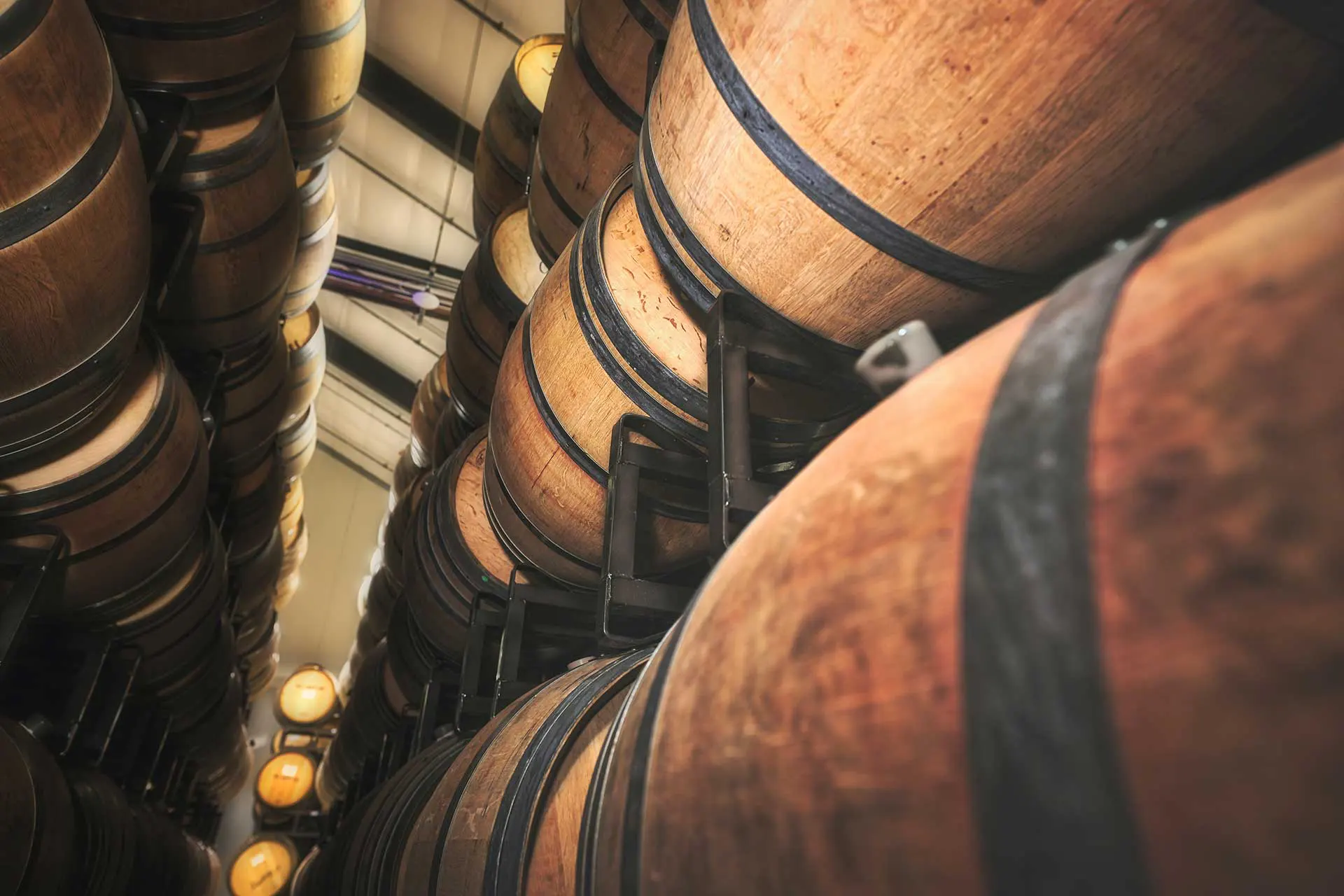 Winbirri Vineyards photo 4