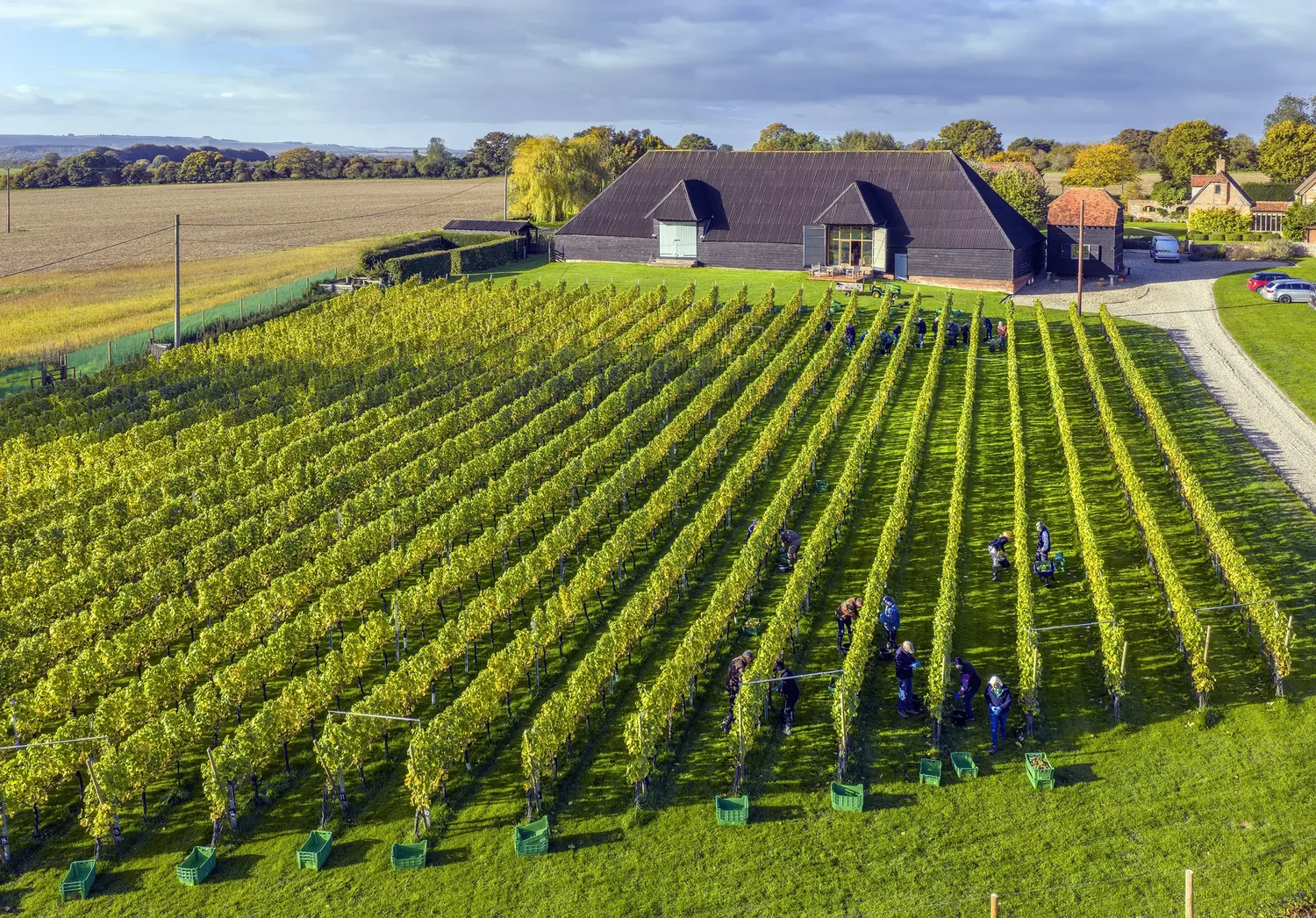 Winding Wood Vineyard main photo