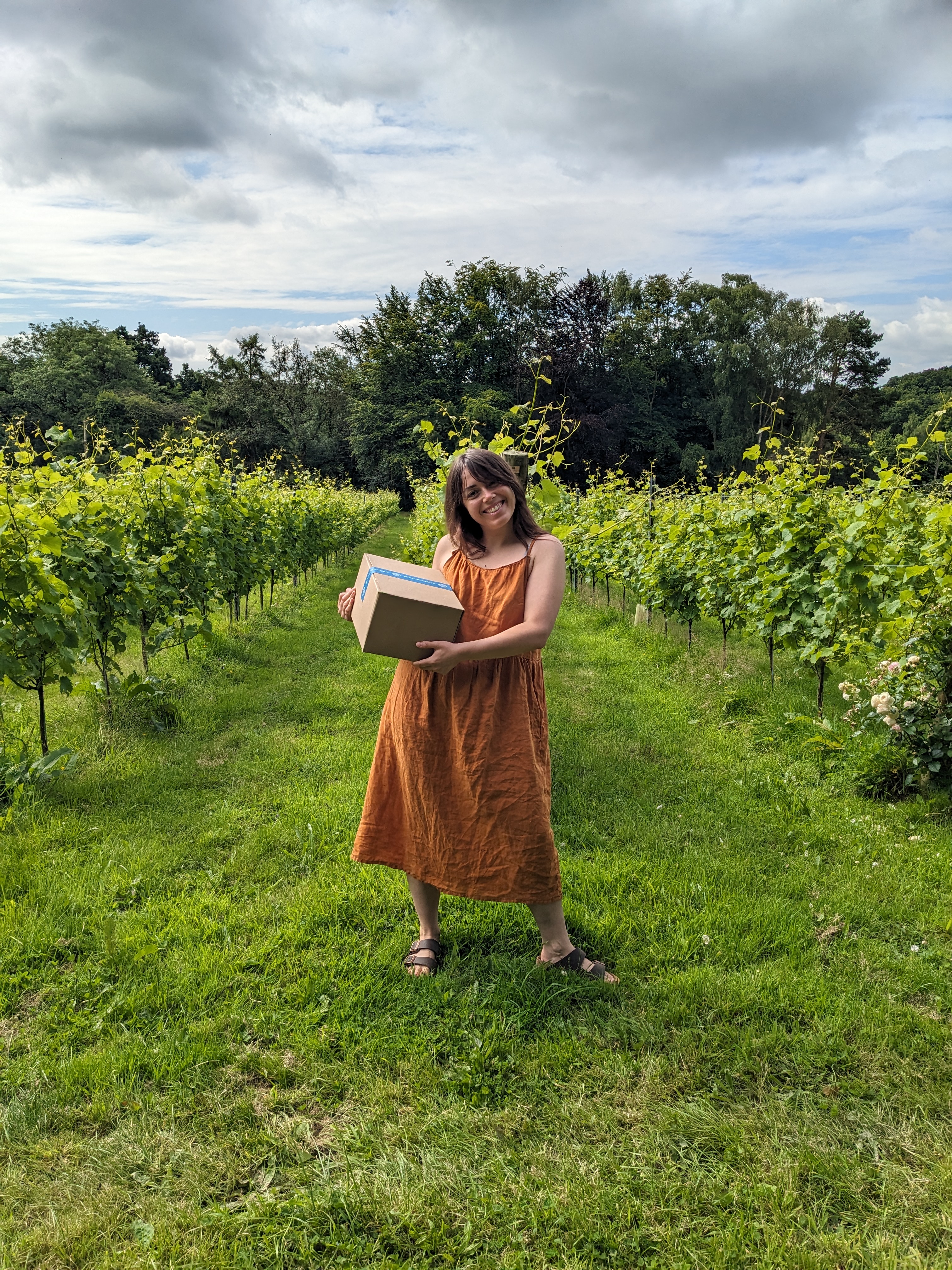 Winklestone Vineyard photo 6