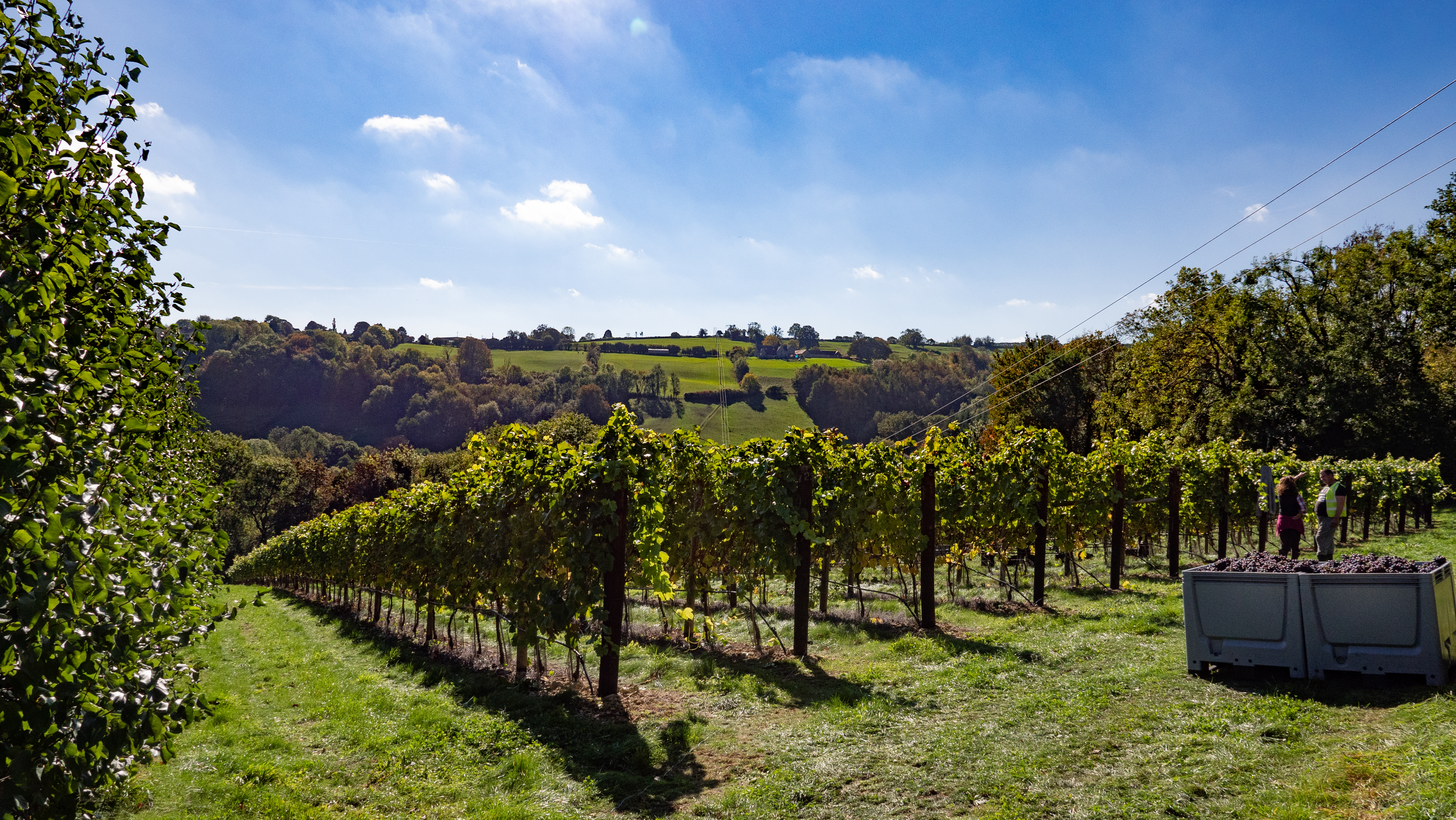 Woodchester Valley Vineyard main photo