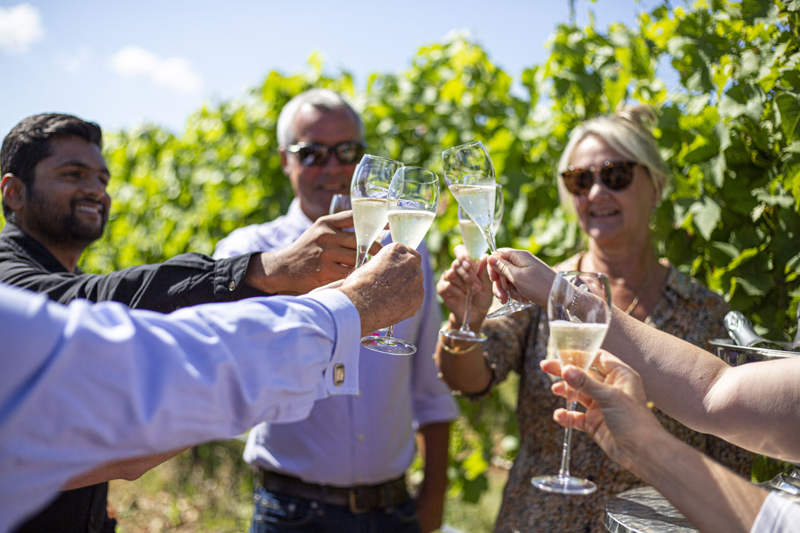 Woodchester Valley Vineyard photo 5