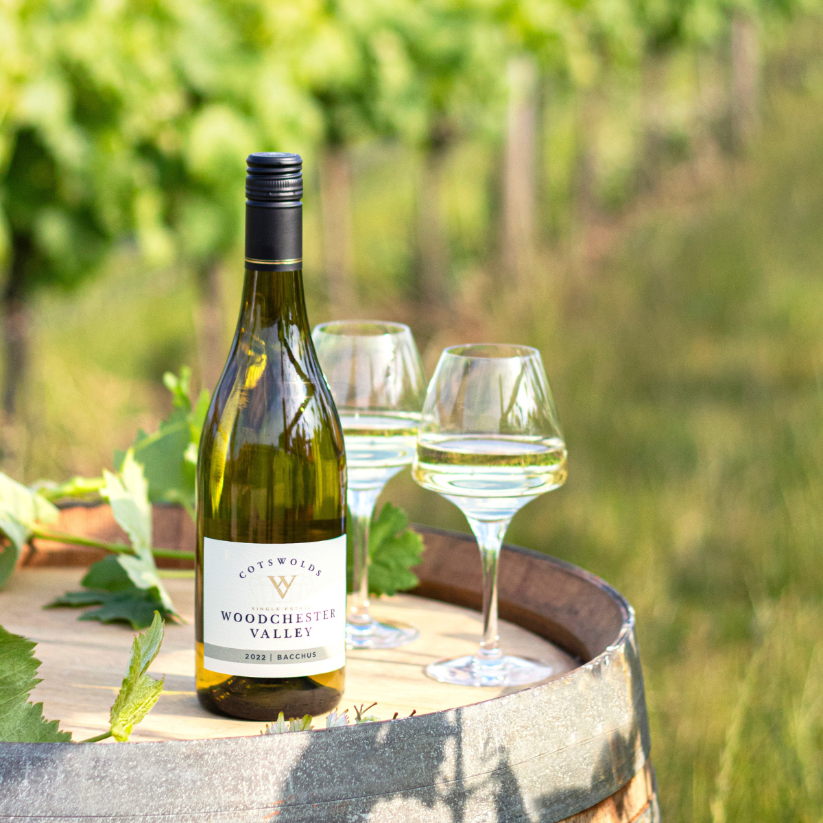 Woodchester Valley Vineyard photo 6