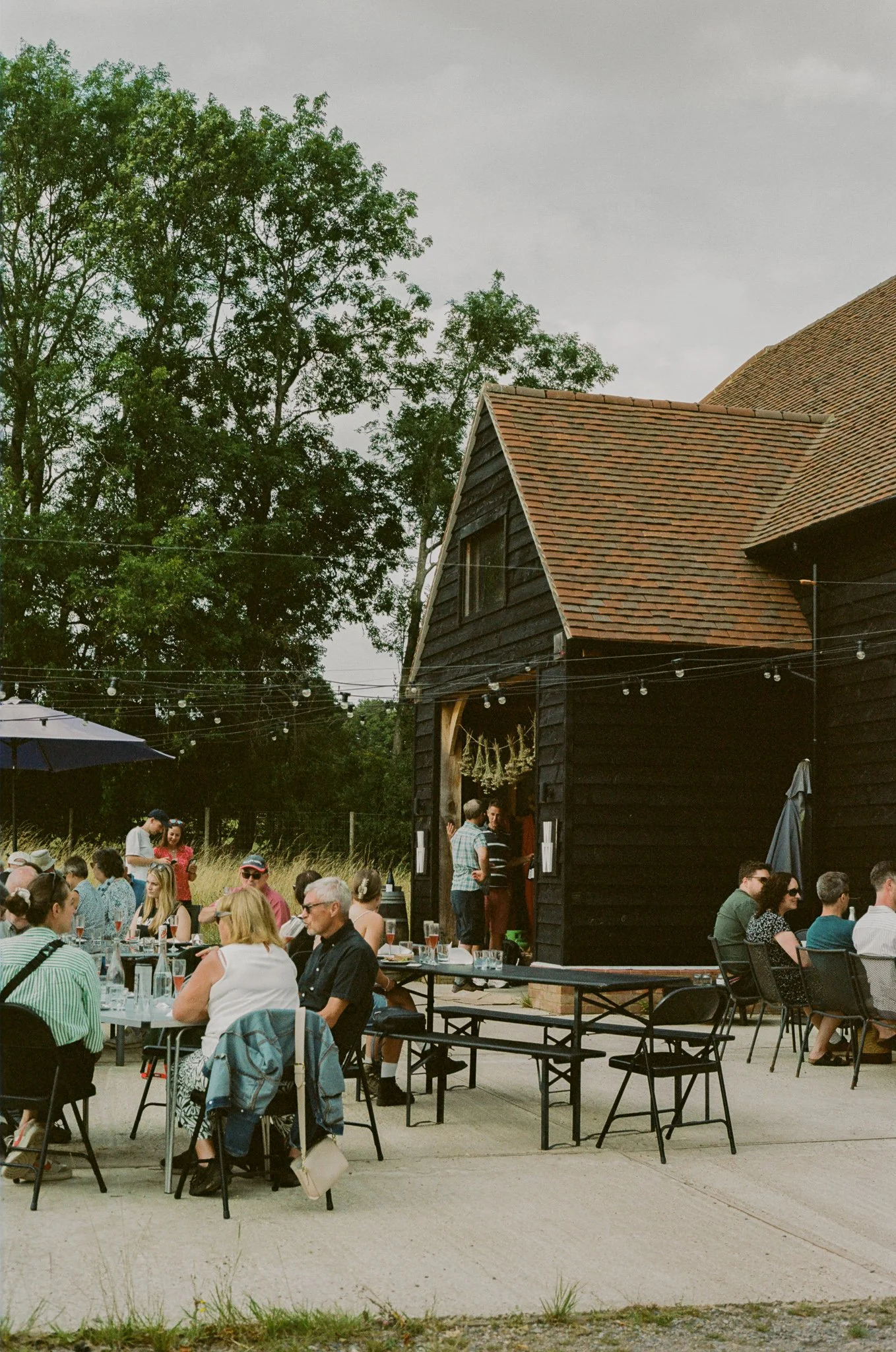 Woodfine wine photo 3