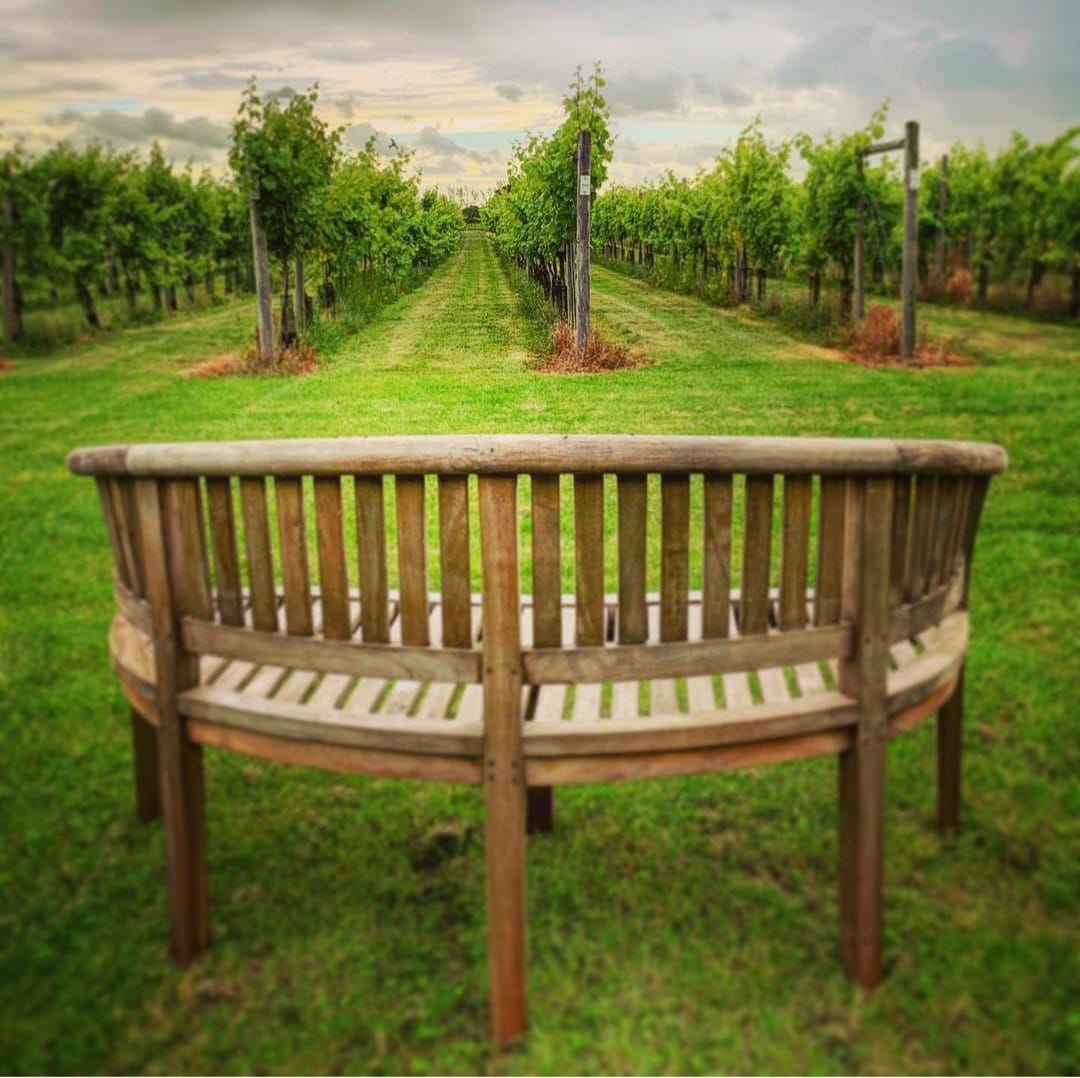 Yorkshire Heart Vineyard photo 3